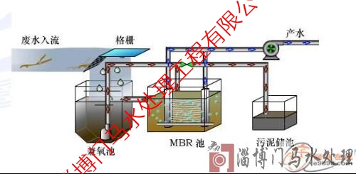 1585965529933289.jpg 3.jpg